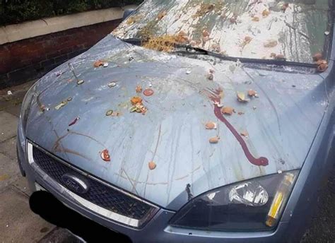 Shocking video shows women egging car in suspected revenge attack