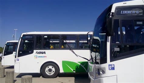 Puerto Vallarta bus fare increases official start, 120 more new buses ...