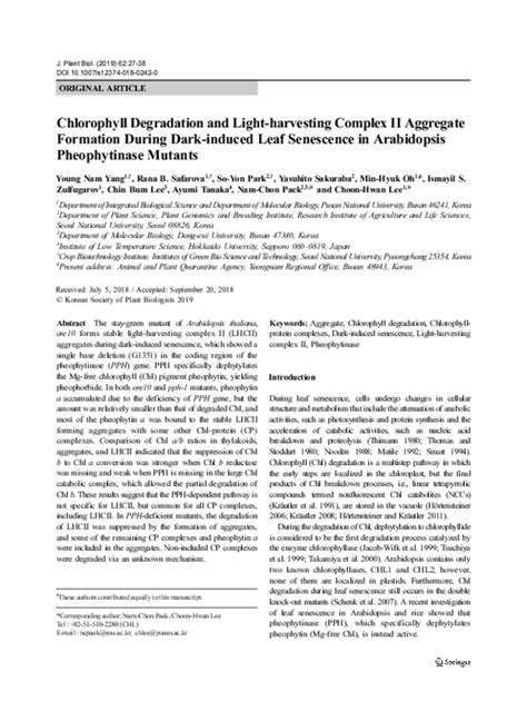 (PDF) Chlorophyll Degradation and Light-harvesting Complex II Aggregate Formation During Dark ...