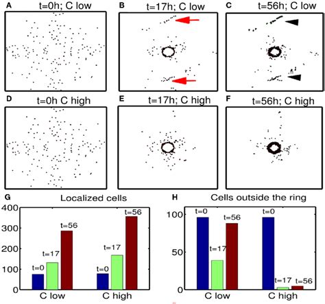 | Effect of chemoattractant strength (λ C in ) on efficacy of the ...