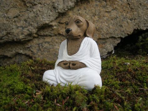 Dog Buddha Meditating Dog Concrete Dog Buddhas Zen Like