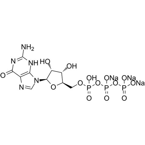 COA of Guanosine 5'-triphosphate trisodium salt | Certificate of Analysis | AbMole BioScience