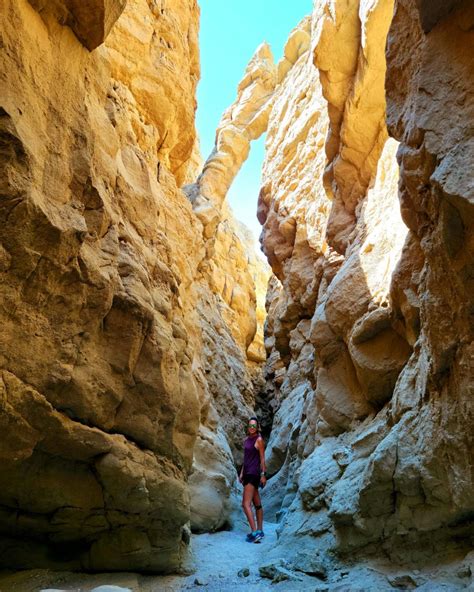 Hiking in Anza-Borrego Desert State Park – 33andfree