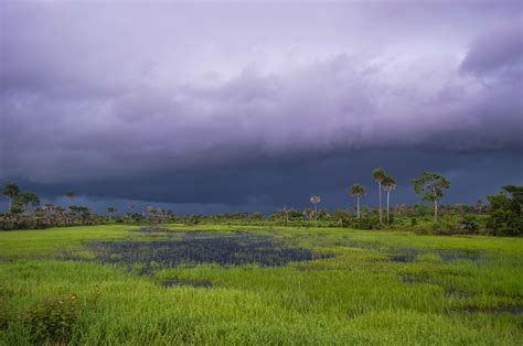 Contemplate The Rich Landscape Of Sierra Leone, This Beautiful Territory Of West Africa