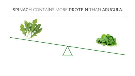 Compare Protein in Arugula to Protein in Spinach