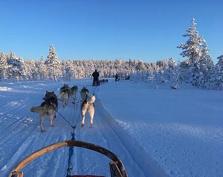 The Lapland Experience | Something different, somewhere different ...