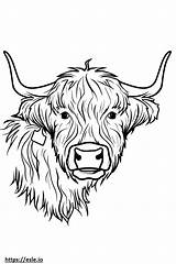 Highland cow coloring Sheet sketch template