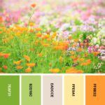 31 Summer Color Palettes for Sunny Designs - Color Meanings