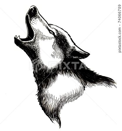 Black And White Wolf Howling Drawings