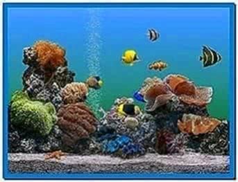 Windows 7 Screensaver 3D Aquarium - Download-Screensavers.biz