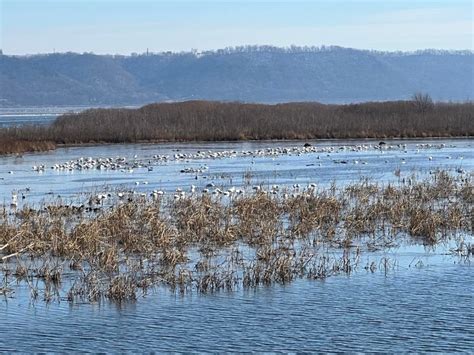 Upper Mississippi River National Wildlife and Fish Refuge | Explore Minnesota