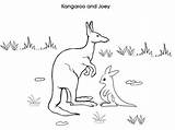 Kangaroo And Baby Joey Coloring Page  NetArt sketch template