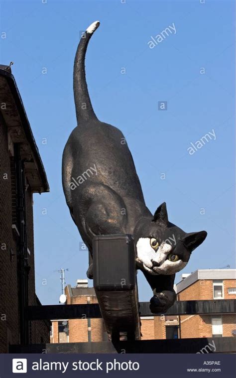 The Giant Cat Sculpture at the Catford Centre South East London Stock ...