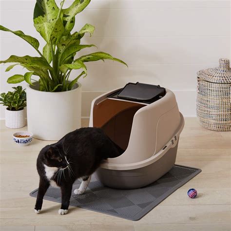 A Guide to the Best Dog Proof Cat Litter Boxes | iPetCompanion