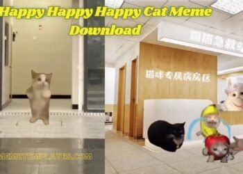 happy happy happy cat meme tiktok Meme Template - Get Meme Templates