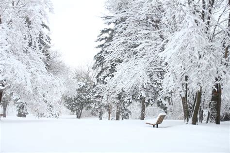 City of St. Francis Snow Routes – The City of St. Francis