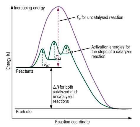 Catalyst Chemistry