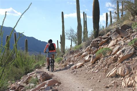 Tucson Mountain Biking - The Local's Guide to Tucson's Trails