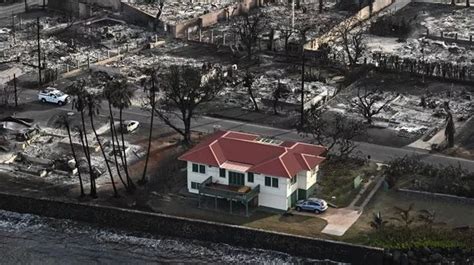 Owner of 'miracle house' still standing after Hawaii wildfires shares how it survived - Mirror ...