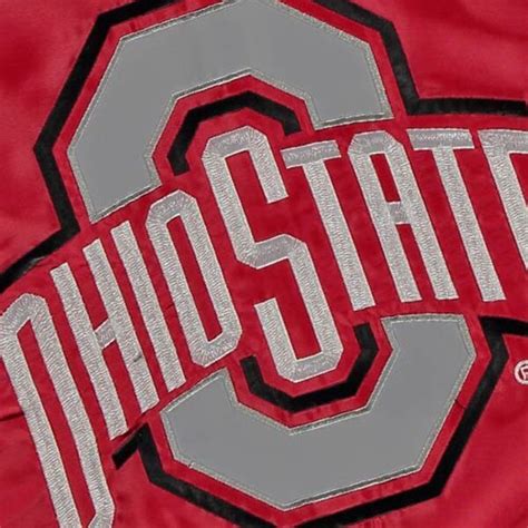 Ohio State Buckeyes 25.5" x 43.5" Sculpted House Flag - Fanatics.com