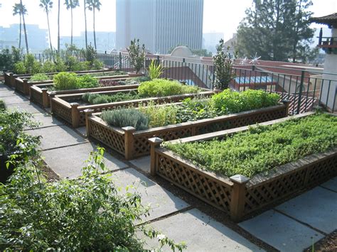 AgriHunt: Green living: What do you think about urban agriculture?