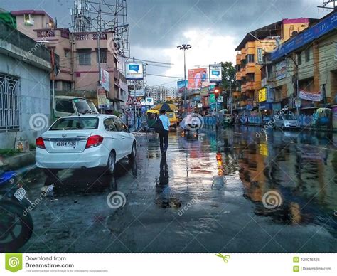 After monsoon effects... editorial stock photo. Image of lovely - 120016428