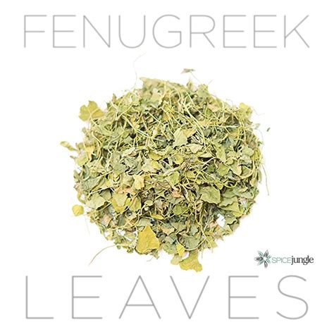 Fenugreek Leaves – The Jazz Chef