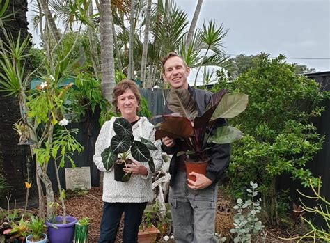 Pandemic grows popularity of indoor plants – Bundaberg Now