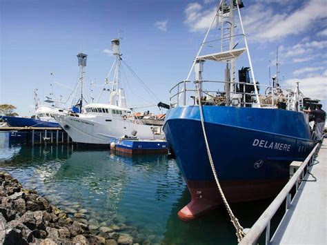 Port Lincoln and Coffin Bay Highlights - Australian Coastal Safaris