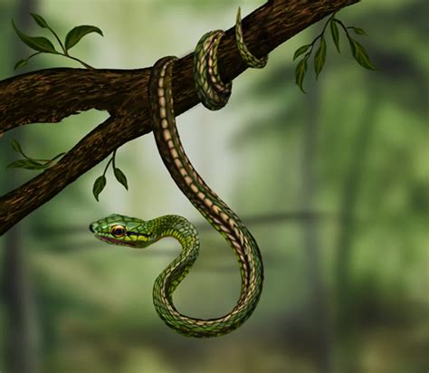 ArtStation - Green Snake 2d Animation