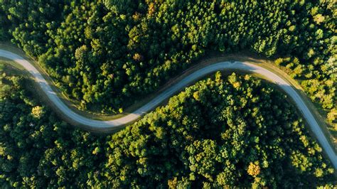 Aerial Photo of Empty Meandering Road In Between Forest · Free Stock Photo