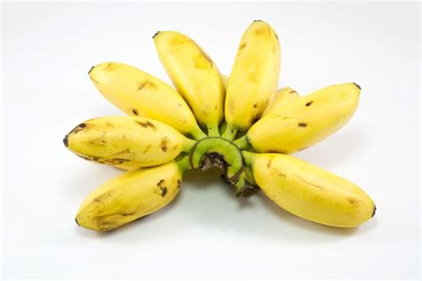 Everything You Should Know About the Lady Finger Banana Tree - Minneopa Orchards