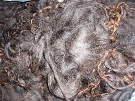 OLDESOUTH FARM: Icelandic Sheep Wool