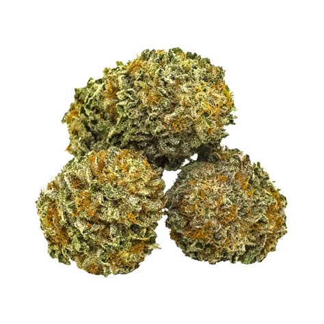 Blackberry Kush - Scottie Strains