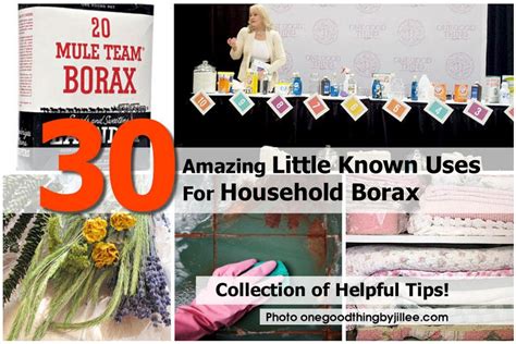 30 Amazing Little Known Uses For Household Borax