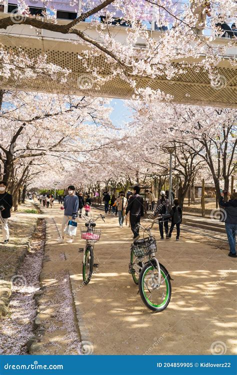 Seoul,South Korea-April 2020: Seoul Rental Bike Parking at Seoul Forest ...