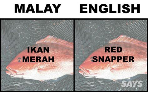 What's Ikan Patin In English? Here Are 17 Translations Of Fish ...