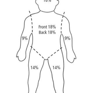 Paediatric Lund and Browder Chart. | Download Scientific Diagram