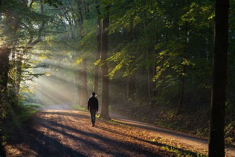 10 Mindful Walking And Nature Connection Practices