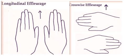 Massage - Effleurage, Petrissage and Friction - Hampson Training Academy