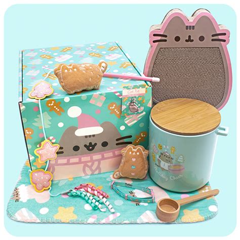 Past Boxes | Pusheen Box