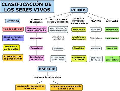 Los cinco reinos de seres vivos, clasificación | Clasificacion de seres vivos, Seres vivos ...