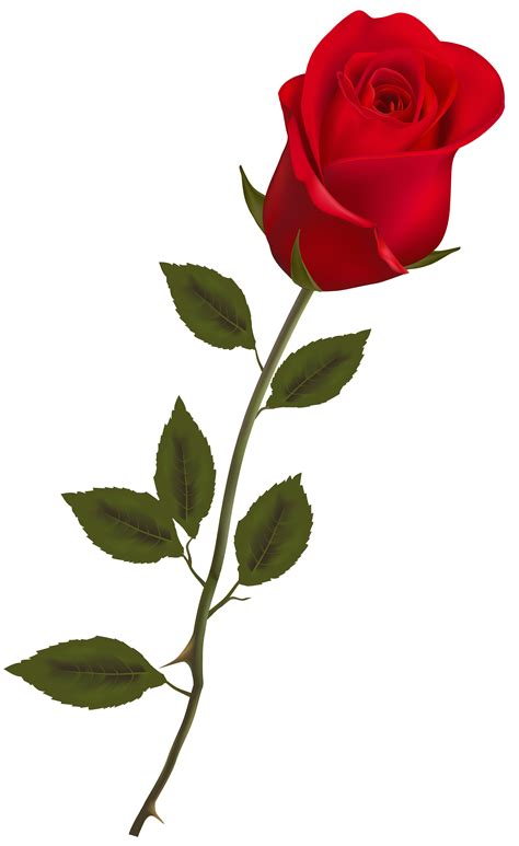 long stem red rose clipart 10 free Cliparts | Download images on ...