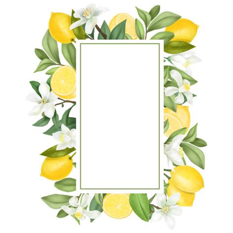 6,500+ Lemon Border Stock Illustrations, Royalty-Free Vector Graphics & Clip Art - iStock