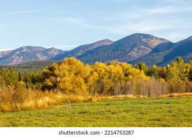 590 Fall Colors Montana Foliage Images, Stock Photos & Vectors ...