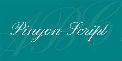 Pinyon Script Font · 1001 Fonts