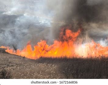 Arson: Over 31,664 Royalty-Free Licensable Stock Photos | Shutterstock