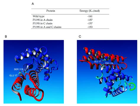 (A) FoldX stability analysis of the tetrameric hemoglobin with the ...