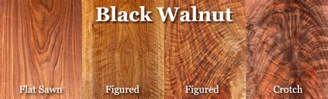 Black Walnut Lumber Pricing – Hearne Hardwoods