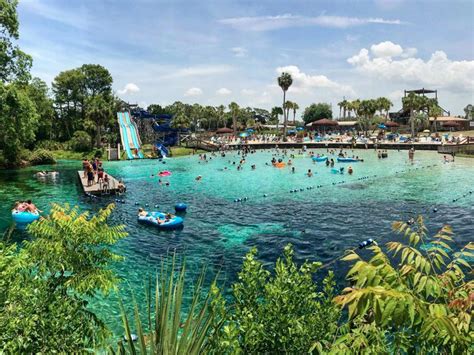 Weeki Wachee Springs: City Of Live Mermaids